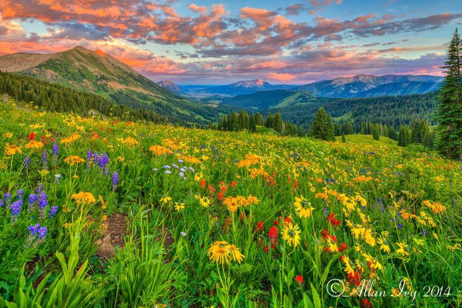 Alpine Inn & Suites Gunnison Zewnętrze zdjęcie